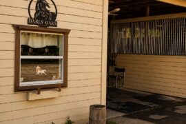 Horse boarding entrance at Darley Oaks Equestrian in Palm City, FL.