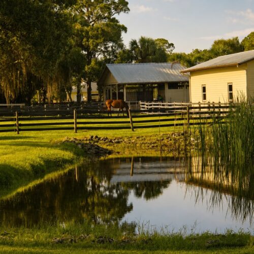 Horse boarding on picturesque property.