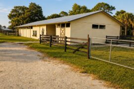 Horse boarding facility at Darly Oaks Equestrian, serving the Treasure Coast of Florida.