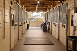 Inside the horse boarding barn at Darly Oaks Equestrian serving all of South Florida.