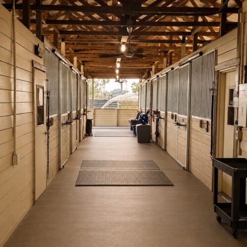 Inside the horse boarding barn at Darly Oaks Equestrian serving all of South Florida.