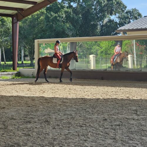 Riding in the covered arena at Darly Oaks Equestrian horse boarding farm, serving the Treasure Coast of Florida.