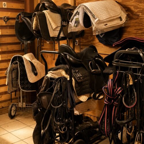 The tack room at Darly Oaks Equestrian in Palm City, FL.