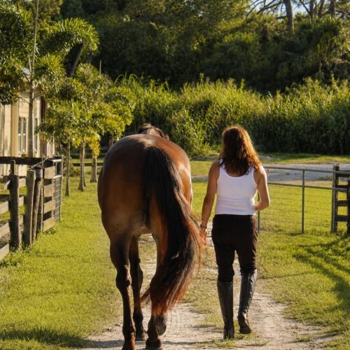 Woman enjoying her horse boarding experience at Darly Oaks Equestrian, near Stuart, FLorida.