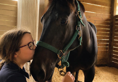 Caring for horses at Darly Oaks Equestrian horse boarding farm, serving the Treasure Coast of Florida.