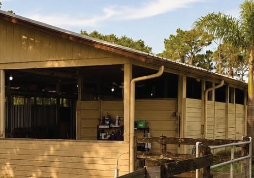 Horse wash rack (1 of 2) at Darly Oaks Equestrian horse boarding farm in Palm City, FL.